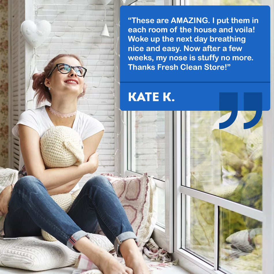 Negative Ion Air Purifier